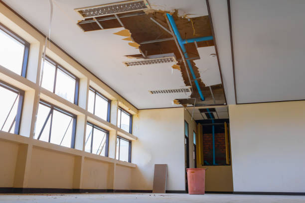 Professional Water damage restoration in Brookwood, AL