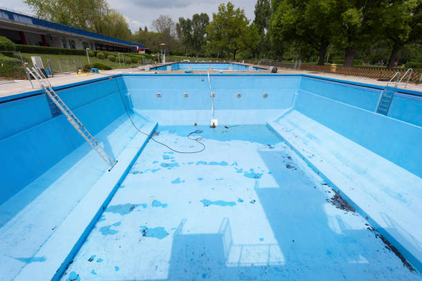 Best Water damage contractors near me  in Brookwood, AL