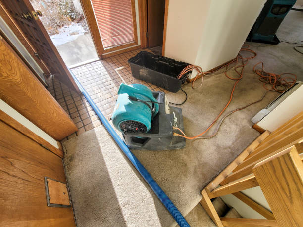 Best Water damage restoration near me  in Brookwood, AL