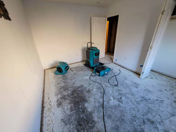 Fire Damage Restoration in Brookwood, AL