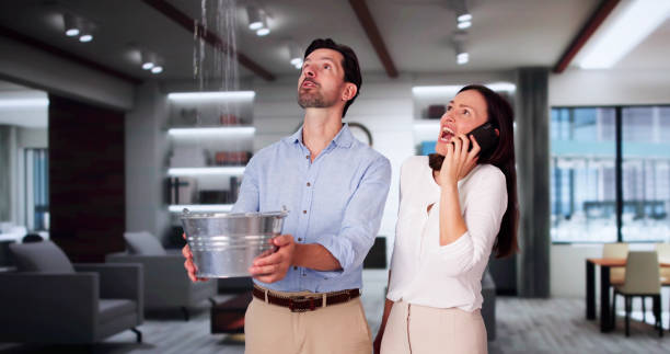 Best Water damage restoration near me  in Brookwood, AL