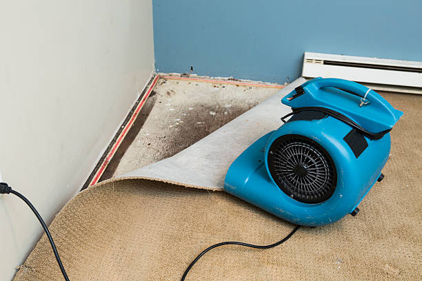 Best 24/7 water damage repair  in Brookwood, AL